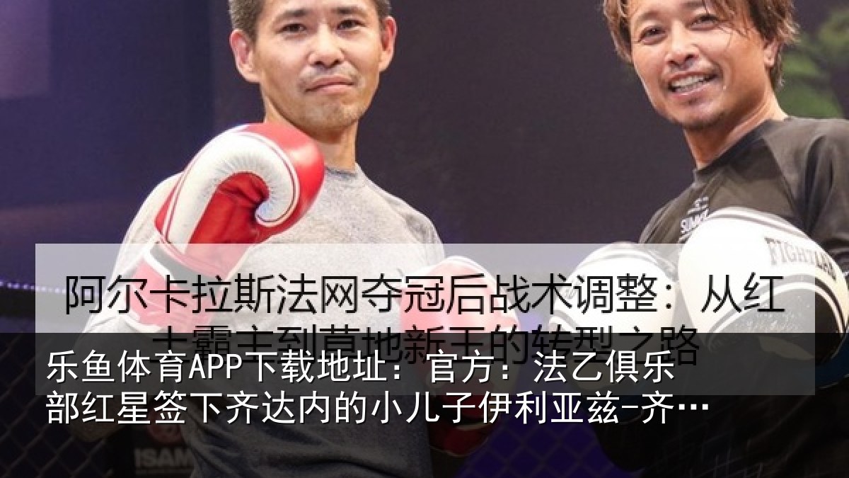 乐鱼体育APP下载地址:官方相关情况下相相关情况内