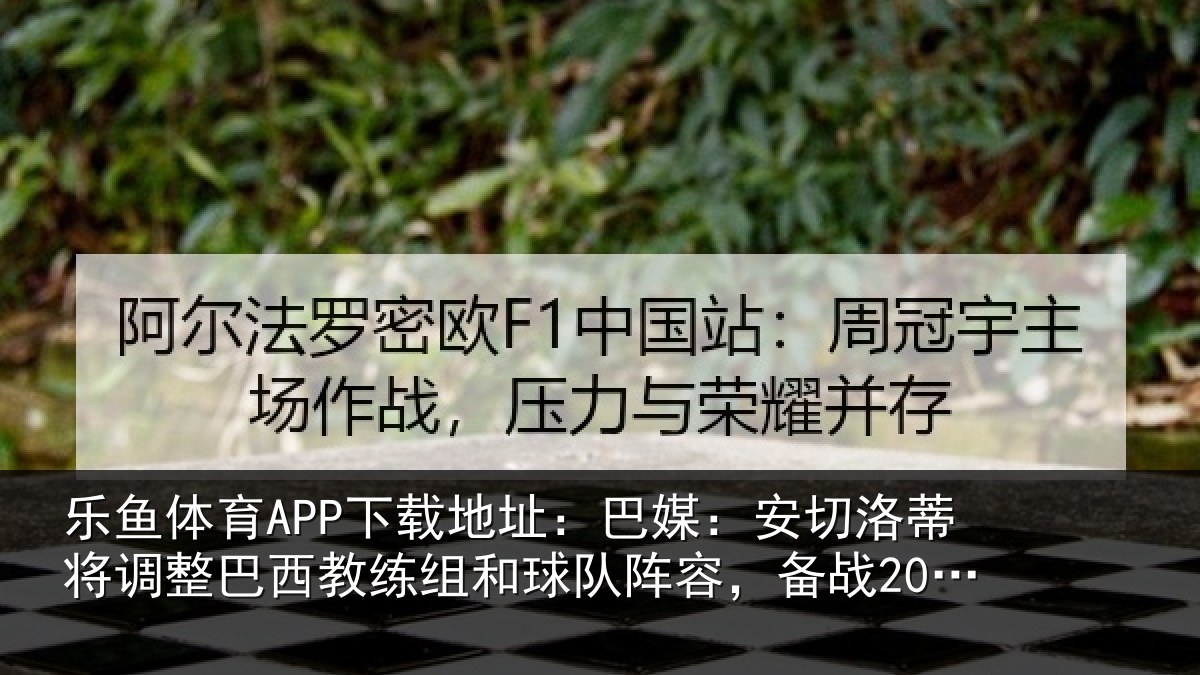 乐鱼体育APP下载地址：巴媒：安切洛蒂将调相关情况队阵容，备战2030世界杯