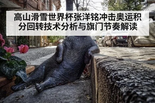 高山滑雪世界杯张洋铭冲击奥运积分回转技术分析与旗门节奏解读